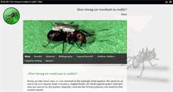 Desktop Screenshot of ants.blsq.org