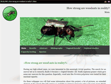 Tablet Screenshot of ants.blsq.org